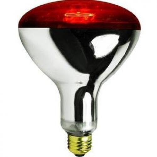 250 watt R40 flood heat lamp red with tough coat 120v medium base